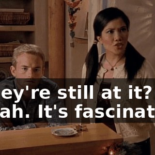 - They're still at it? - Yeah. It's fascinating.