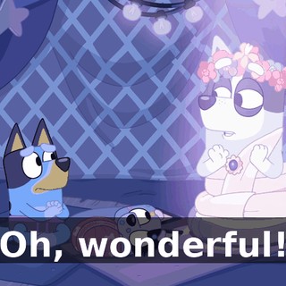 c5886f16-b038-470c-9396-60c7c02be99f.gif