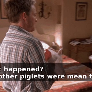 - What happened? - The other piglets were mean to him.
