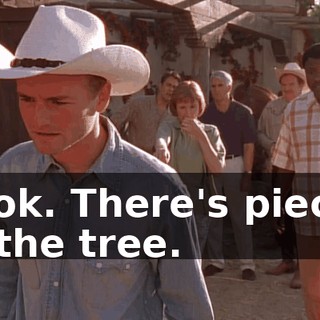 Look. There's pieces in the tree.