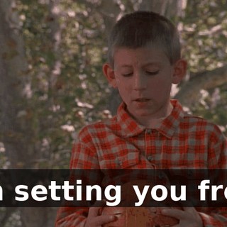 I'm setting you free.