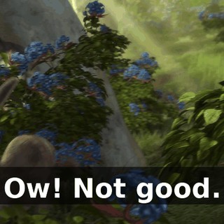 Ow! Not good.