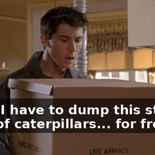 Now I have to dump this stupid box of caterpillars... for free!