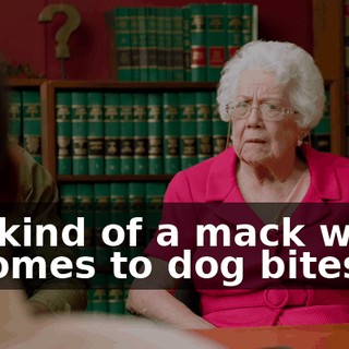 I'm kind of a mack when it comes to dog bites.