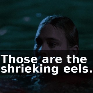 c6152429-d4b3-426d-86d8-265ed6a4e478.gif