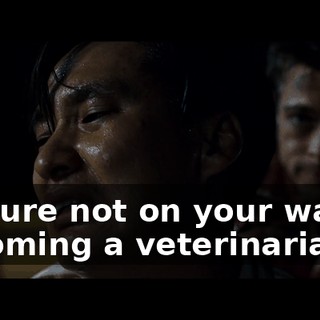 c627a6c0-21a6-4e56-ac70-cf6493c245e6.gif