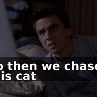 So then we chased this cat