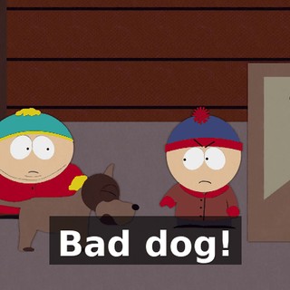 Bad dog!