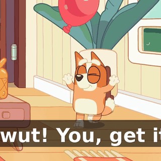 Bwut! You, get it!