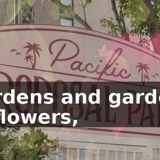 Gardens and gardens of flowers,