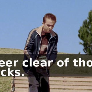 Steer clear of those ducks.