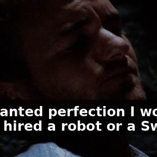 If I wanted perfection I would have hired a robot or a Swede,