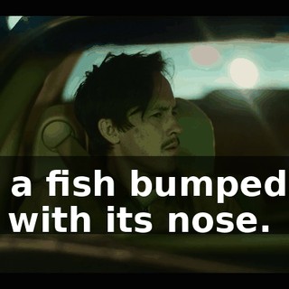 But a fish bumped me out with its nose.