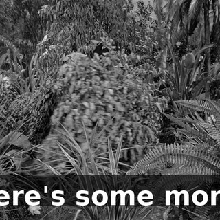 c6f92d6c-88e8-4aee-9d03-4c4f7349cca5.gif