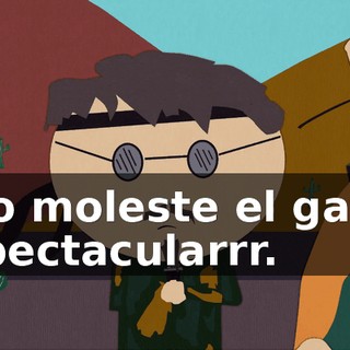No moleste el gato spectacularrr.