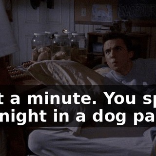 Wait a minute. You spent the night in a dog pack?