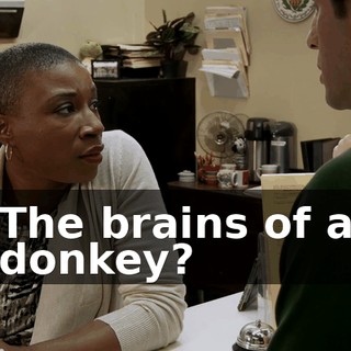 The brains of a donkey?