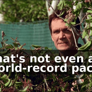 c7991f8d-b19f-418f-91ba-56d56121a969.gif