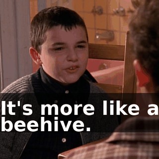 It's more like a beehive.