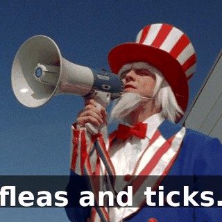 fleas and ticks.