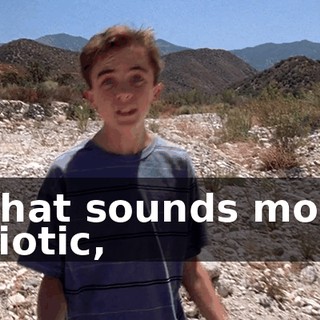 What sounds more idiotic,
