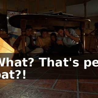 What? That's per bat?!