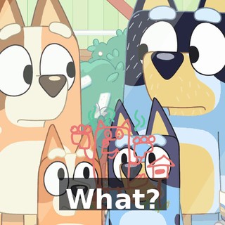 What?