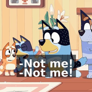 -Not me! -Not me!
