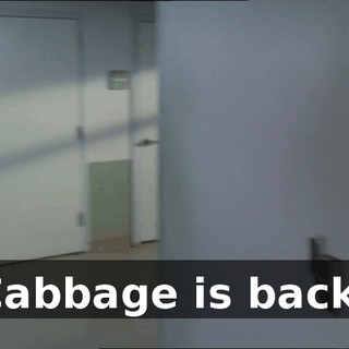 c849be13-8427-4b03-aa77-b4afedbf68ce.gif
