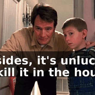 Besides, it's unlucky to kill it in the house.