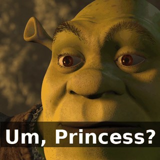 Um, Princess?