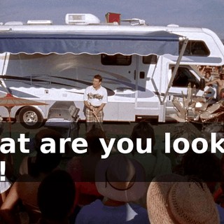 What are you looking at?!