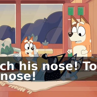 Touch his nose! Touch his nose!