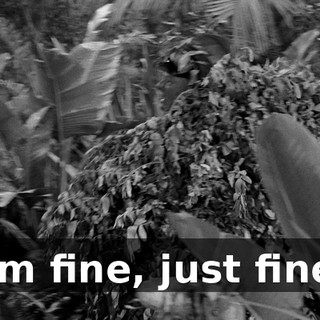 c90e1c5a-9a4c-48b6-bbb5-983d6244f768.gif
