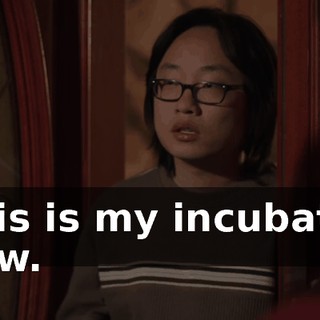 This is my incubator now.