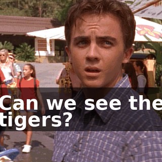 Can we see the tigers?