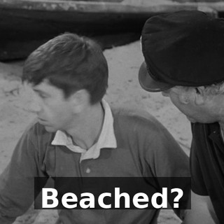 c966fc9f-1115-41ba-a575-cd7b39bd70bb.gif