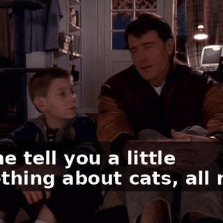 Let me tell you a little something about cats, all right?