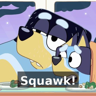 Squawk!