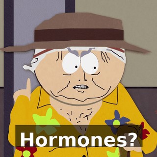 Hormones?