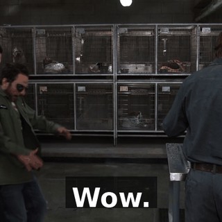 Wow.