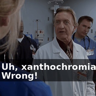 ca3b402e-f4d8-4f95-9444-cecd9185c65a.gif