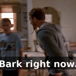 Bark right now.