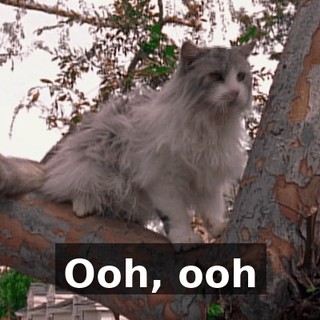 ♪ Ooh, ooh ♪