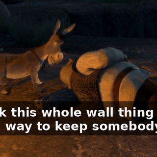 I think this whole wall thing is just a way to keep somebody out.