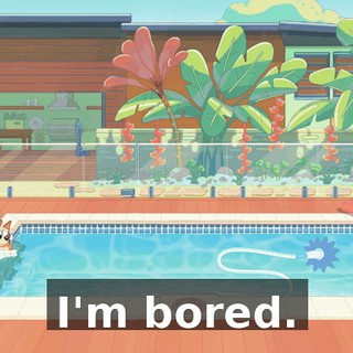 cbd3e45f-cd12-47a1-84e4-942671902521.gif