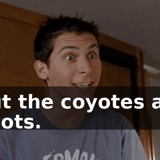 But the coyotes are idiots.