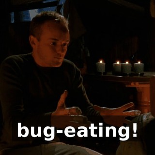 bug-eating!