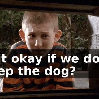Is it okay if we don't keep the dog?