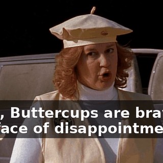 Girls, Buttercups are brave in the face of disappointment.